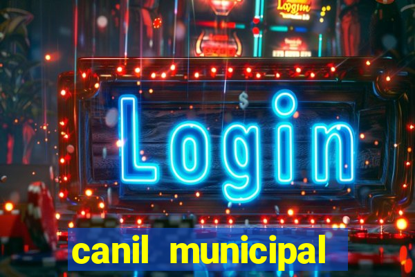 canil municipal porto alegre